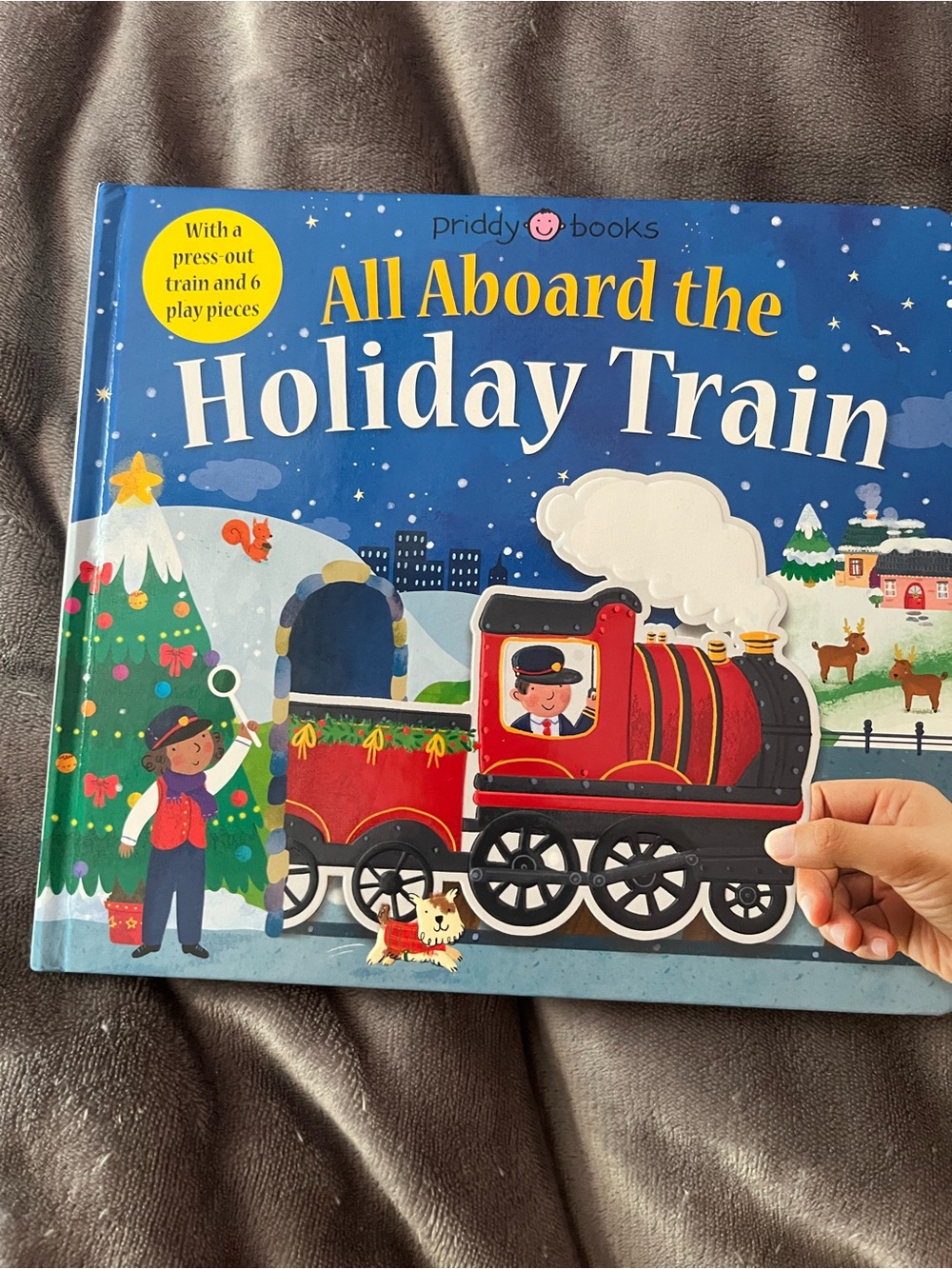 All Aboard the Holiday Train  Book